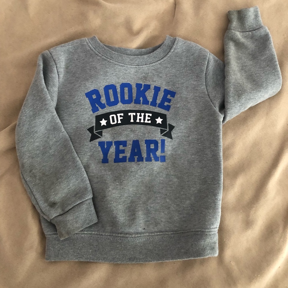 Cute gray toddler crew neck sweatshirt